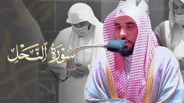 "والله جعل لكم من بيوتكم سكنا" تلاوة ندية رائعة من سورة النحل | د. عبدالله الجهني فجر 8-7-1443هـ.