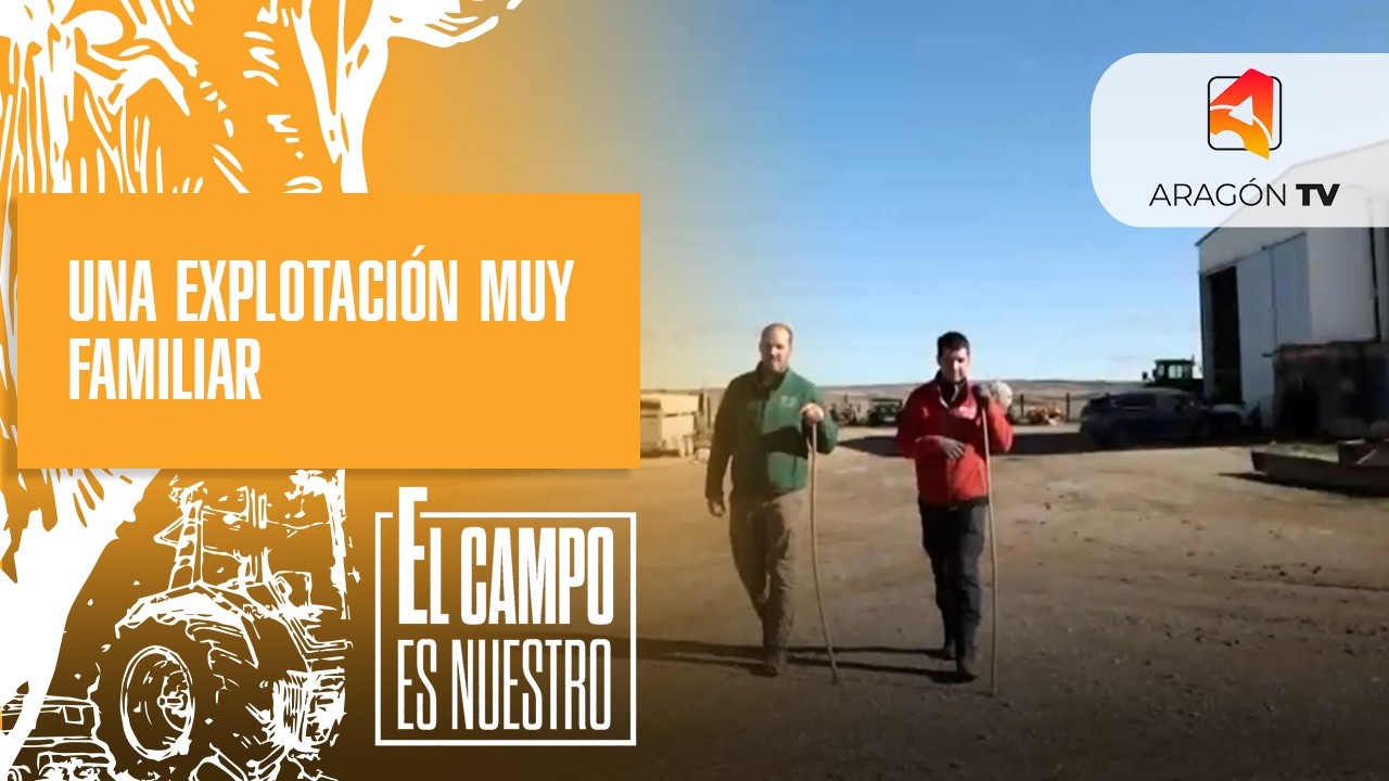 Una explotación muy familiar / Antonio y Ángel Enfedaque