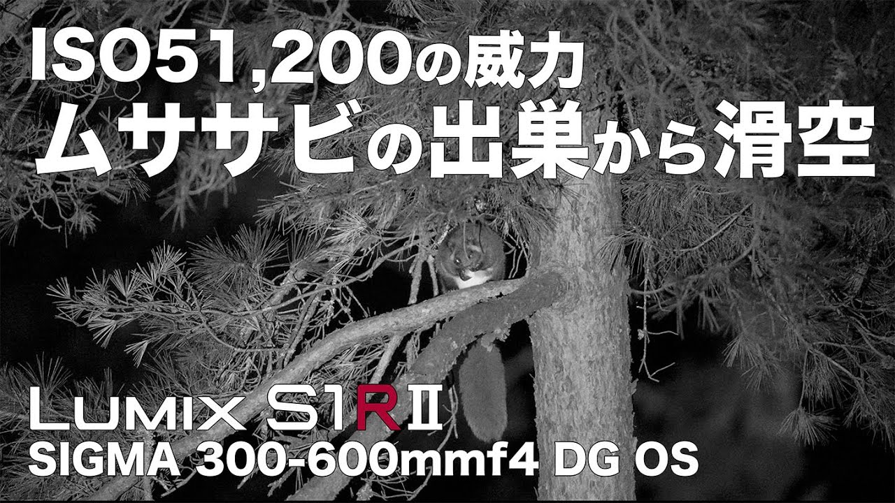 ムササビの滑空】LUMIX S1RM2のISO51,200の威力 - YouTube