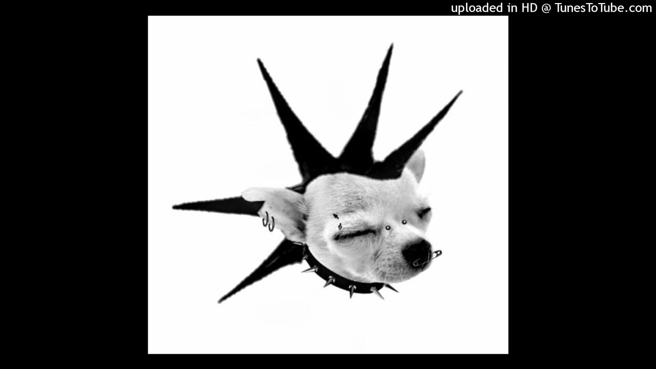 [FREE] NASCAR ALOE x PUNK RAP TYPE BEAT - "punkdog" (prod. plucksunset)