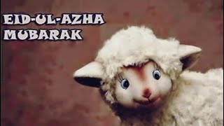 Eid Al Adha Mubarak