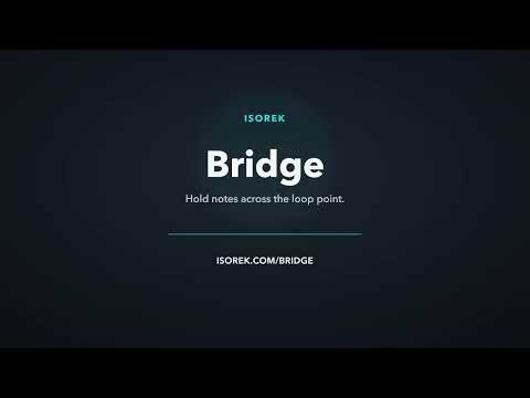 Bridge demo