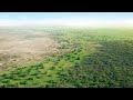 How africa is turning its desert into a great green wall oasis  greening the desert project