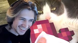 xQc Reacts to UNUSUAL MEMES COMPILATION V102 With Chat!