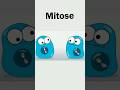 Warum wird die DNA während der Mitose aufgewickelt?#DNA #Chromosomen #Biologie