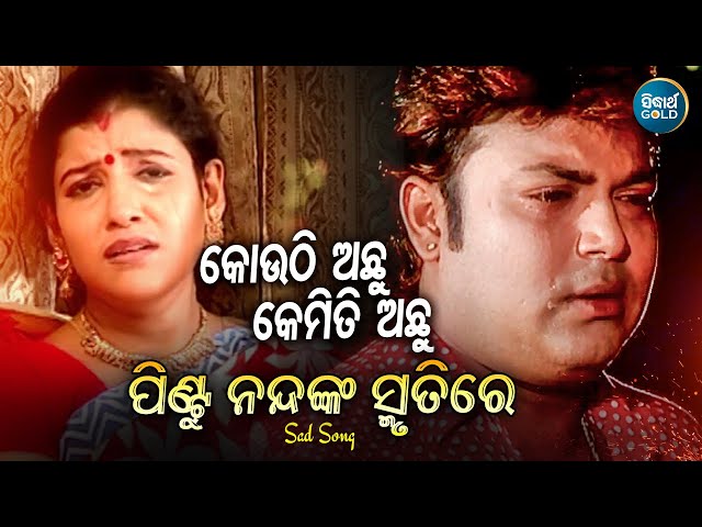 In The Memory of Pintu Nanda-Kouthi Achhu Tu- Sad Song | Udit Narayan | କୋଉଠି ଅଛୁ ତୁ -Sidharth Music class=