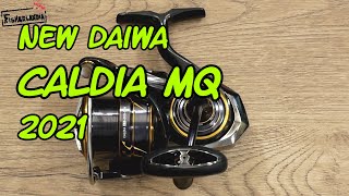 NEW DAIWA CALDIA 2021 - MONOCOQUE BODY