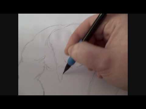 How To Draw Fantasy Creatures Part 1 Of 3 - YouTube