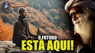 Save Soil O Movimento Global Que Sadhguru Defende Há Décadas