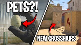 NEW CS2 UPDATE - Silent Reload, Pets, New Gamemode, Clan Tags, New Crosshairs!