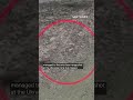 Shocking video: Position T-shaped. Ukrainian tank broke the trench 🇷🇺 were killed #shorts @k2_bat