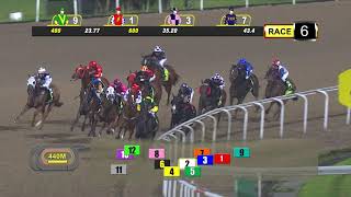 Vidéo de la course PMU MAIDEN- 1200 M.