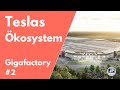 Tesla Gigafactory im Überblick #2 | Gigafactory Berlin-Brandenburg | Giga Shanghai | Giga Texas
