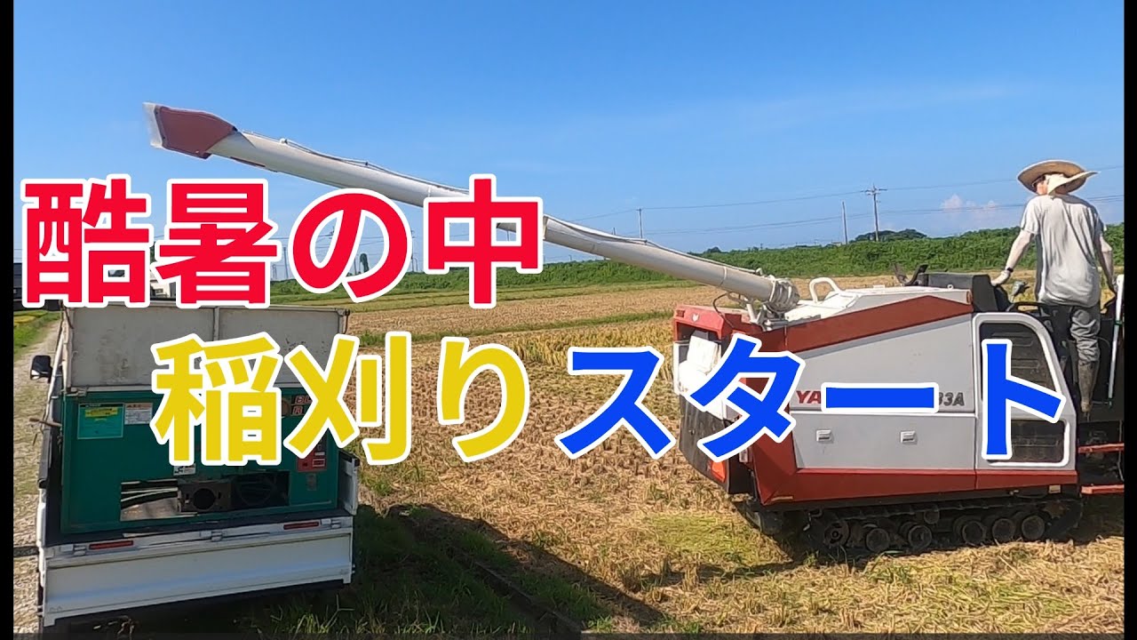 私が稲刈りの時に注意していることは？