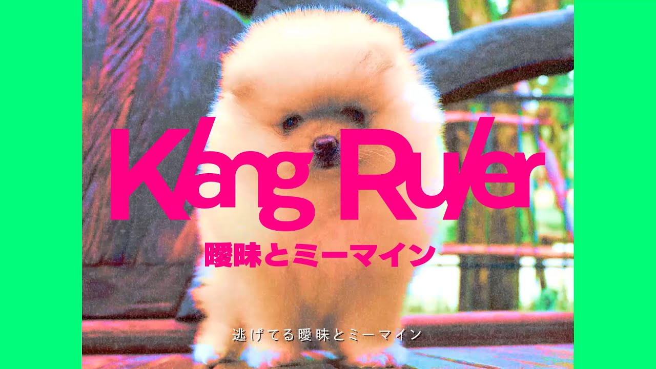 Klang Ruler - 曖昧とミーマイン(Official Lyric Video) - YouTube