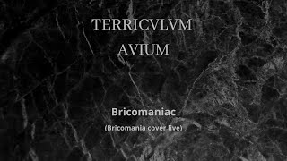 Terriculum Avium - Bricomaniac Bricomania Cover Live