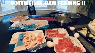 HOW I RAW FEED MY ROTTWEILER 2023!!