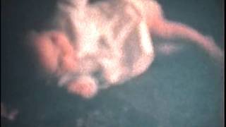 Famous Germany, Parade, Alice, Betty, Barry, Chris, Michael and Sally.mpg Net Worth