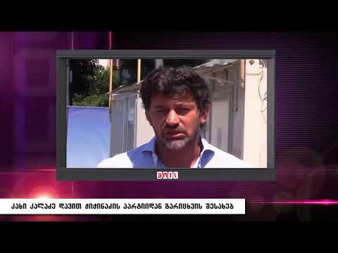 კახი კალაძე დავით ჭიჭინაძის პარტიიდან გარიცხვის შესახებ