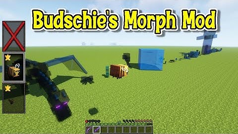 Minecraft 1.18.1 -  Budschie