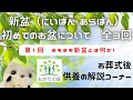 お盆とは・全3回で解説　その１　そもそも新盆とは？