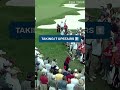 Tiger flop shot‼️