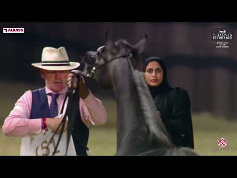 151     2024         4