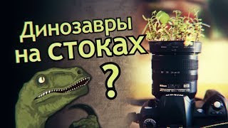 Ошибки новичков на Фотобанках. Динозавры на стоках. Проблемы на микростоках