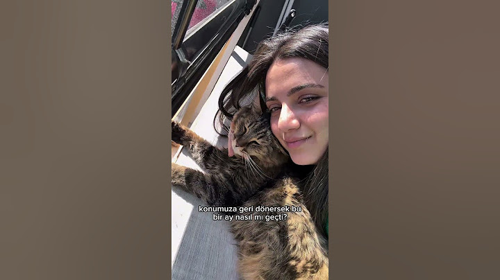 ikinci kedimi sahiplenmeye gidiyorum part-4 😊 #kedi #cat #satınalmasahiplen