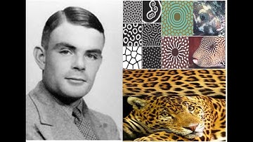 🟡🌟Spontaneous Symmetry Breaking, needs SYMMETRY.  Alan Turing’s 1951 Chemical Basis of Morphogenesis