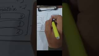 Introduction to Rows and Columns