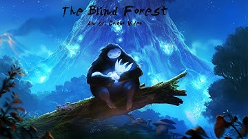 The Blind Forest - An Ori Combo Video