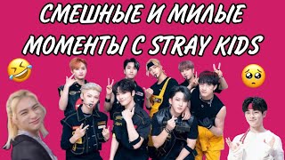 Смешные и милые моменты с STRAY KIDS 5 часть