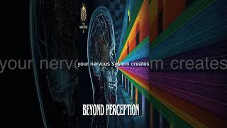 The Hidden Dimensions of Reality #motivation #quantumshifting #metaphysics #awakeningtonothingness