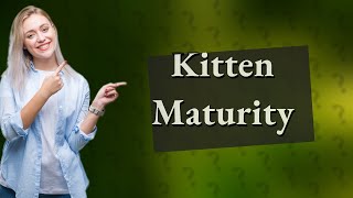Can a 3 month old male kitten get a female pregnant?