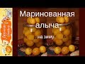 Маринованная алыча к мясу на зиму