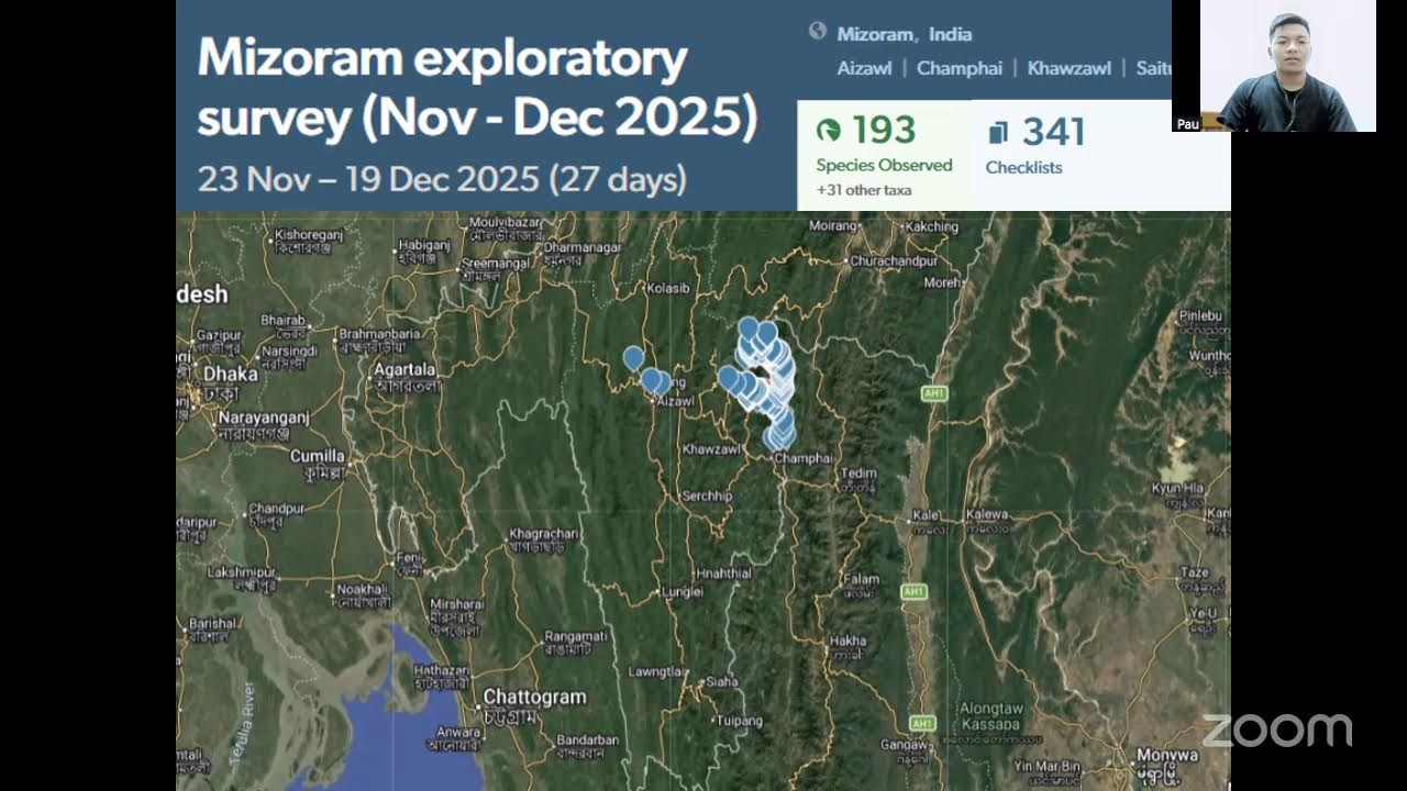 Birds we found across Mizoram and some exciting records