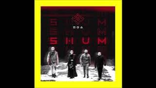 2021 Go A - Shum (Single Version)
