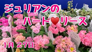 プリムラジュリアンでハッピーバレンタインのハートのリース♪ピンクでラブリー　#カレンダー　#プランツギャザリング