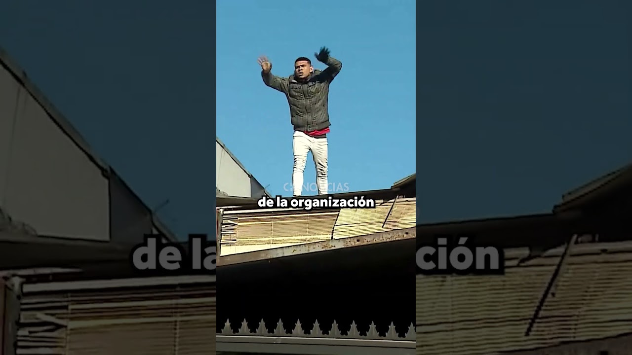 Narco usaba todo un block para cultivar marihuana que luego vendía en local de Meiggs | REPORTAJE