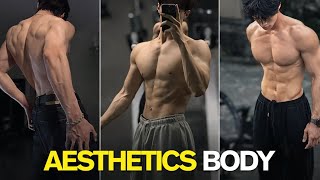 The Perfect Aesthetic Physique Workout Full Body Guide