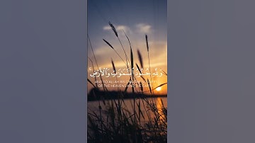 هُوَ الَّذِي أَنزَلَ السَّكِينَةَ فِي قُلُوبِ الْمُؤْمِنِينَ القارئ : عبدالرحمان مسعد 🤍🍃