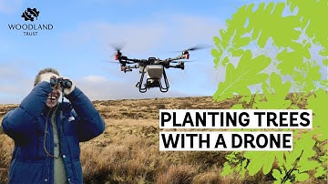 Sky Seeding  -  Planting rainforest trees by drone in south west England