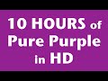10 Hours of Pure Purple Screen in HD