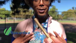 WEEDING RAINBOW episode 1