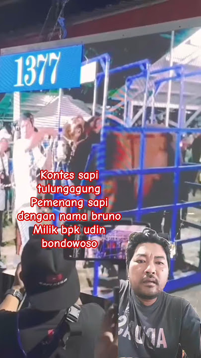 kontes sapi Tulungagung, pemenang sapi dgn nama Bruno,milik bpk Udin bondoso #sapijumbo #feedshorts