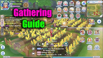 Ragnarok X Next Generation Gathering Guide