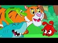 Morphle en Français | Les Bandits D'animaux Effrayants | Comptines | Chansons Pour Enfants