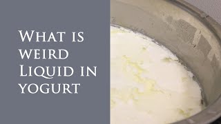 What is that weird liquid in yogurt?