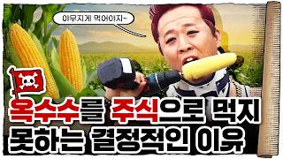 💀 온 세상이 옥수수🌽다… / 💀 인류가 옥수수를 미친듯이 재배하는 이유